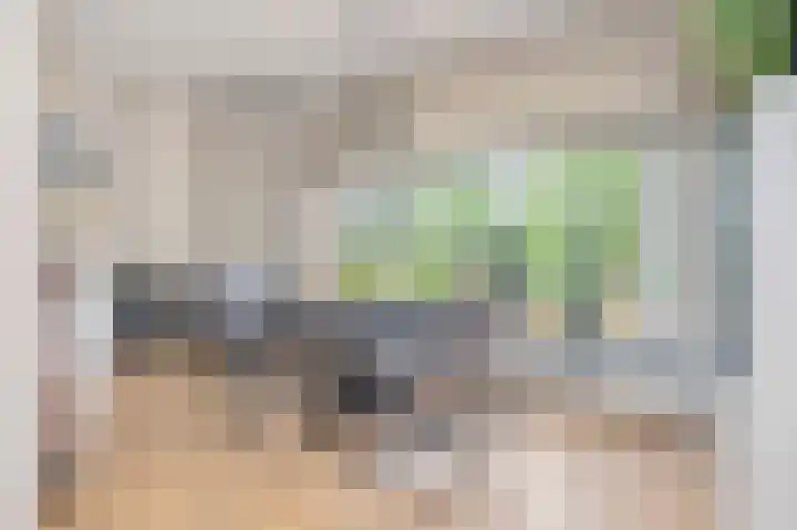 Moutheuvellaan 18 Schinnen thumbnail 15