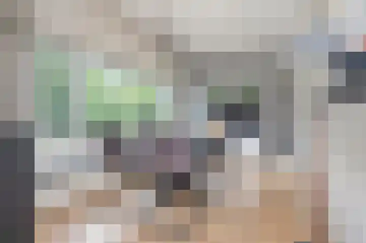 Moutheuvellaan 18 Schinnen thumbnail 16