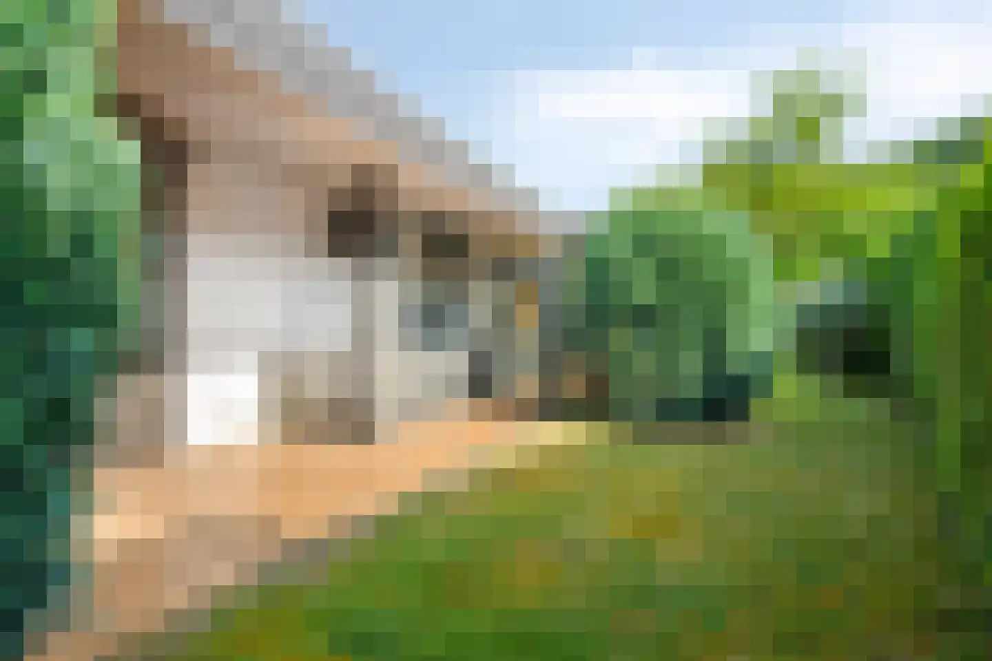 Moutheuvellaan 37 Schinnen thumbnail 11