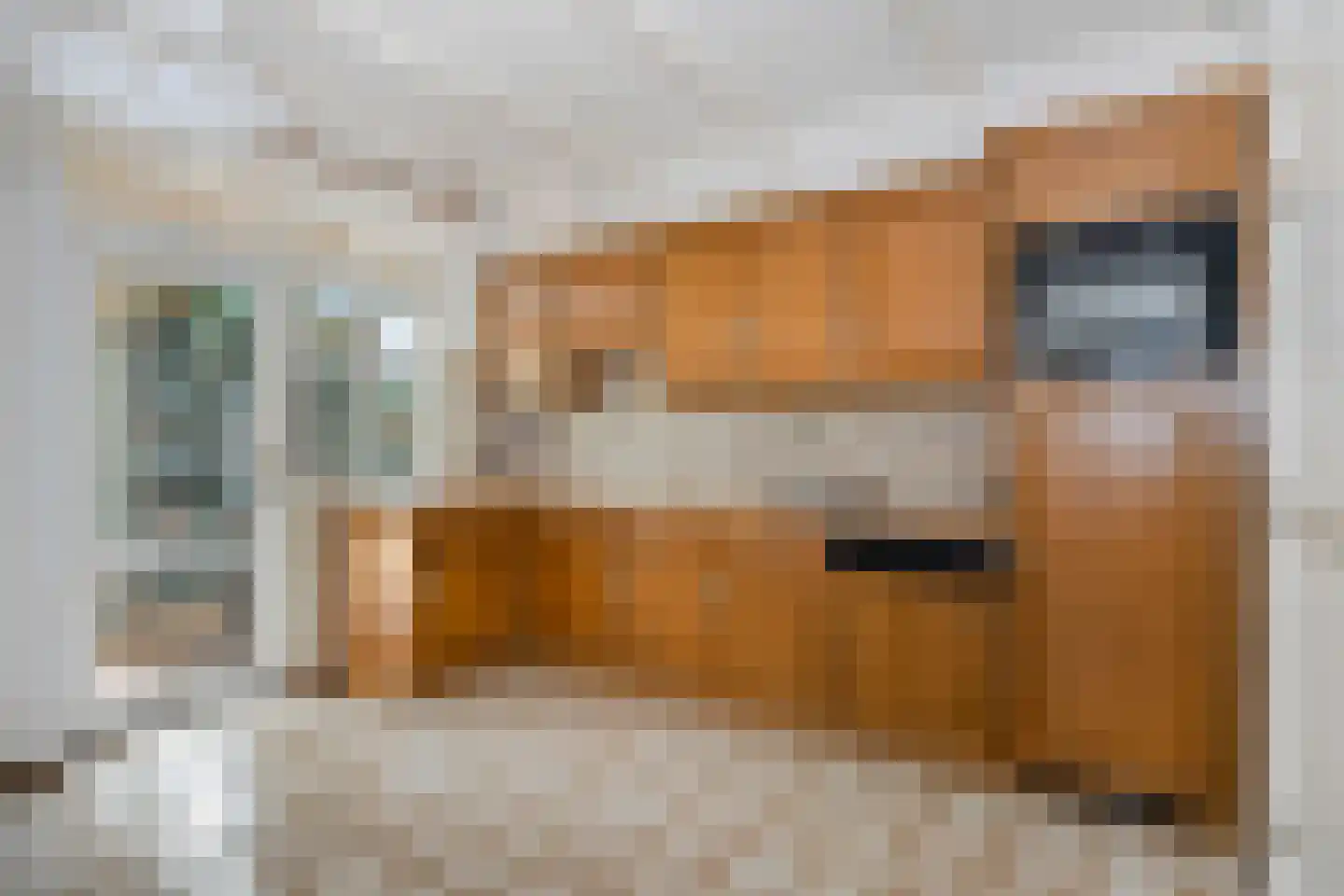 Moutheuvellaan 37 Schinnen thumbnail 27