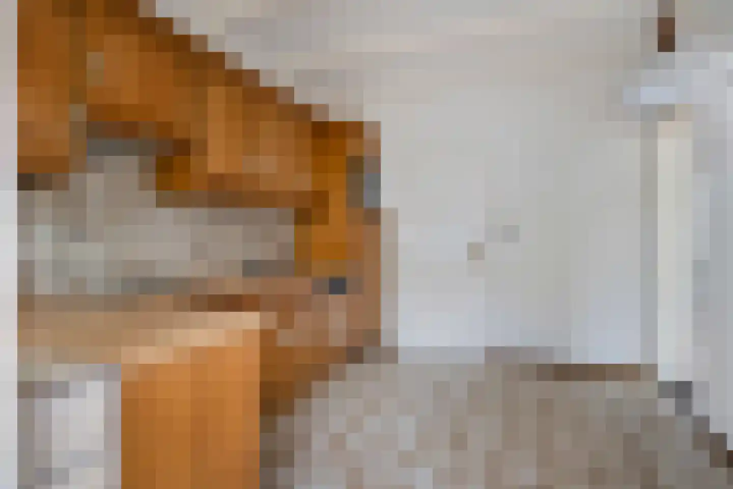 Moutheuvellaan 37 Schinnen thumbnail 28