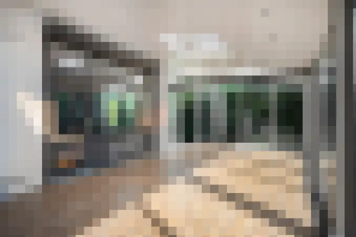 Moutheuvellaan 37 Schinnen thumbnail 30