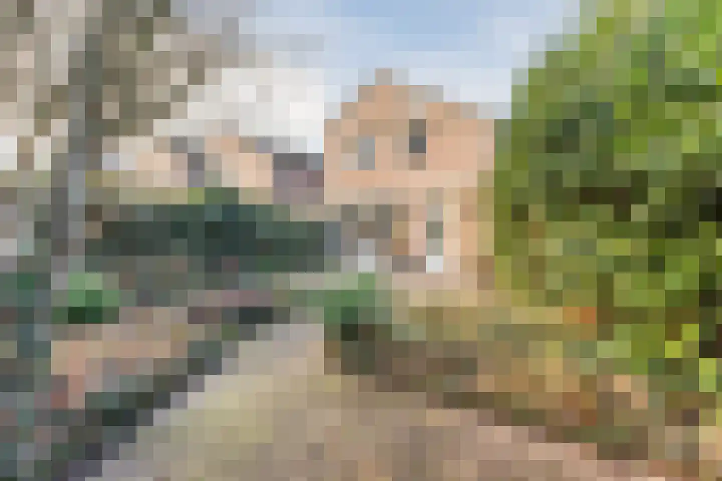 Moutlaan 26 A Valkenswaard thumbnail 29