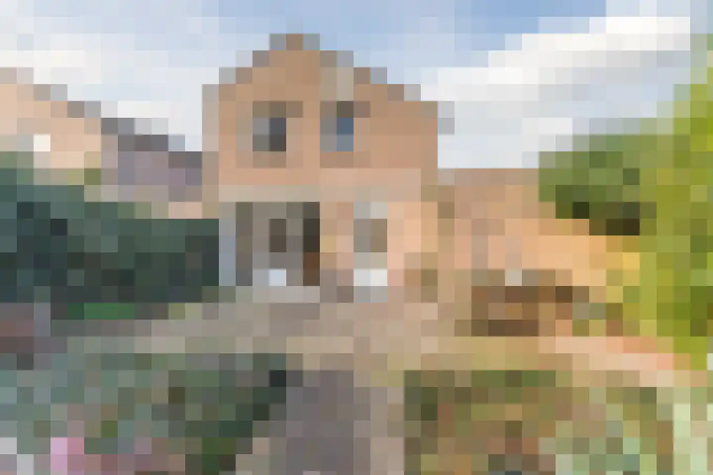 Moutlaan 26 A Valkenswaard thumbnail 30