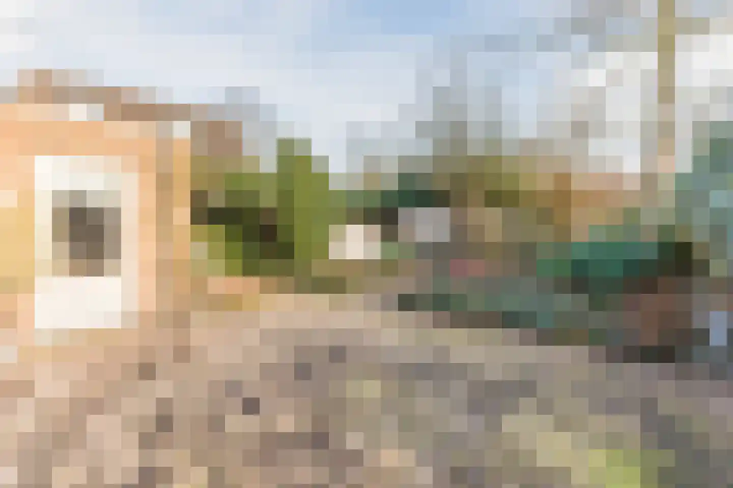 Moutlaan 26 A Valkenswaard thumbnail 6