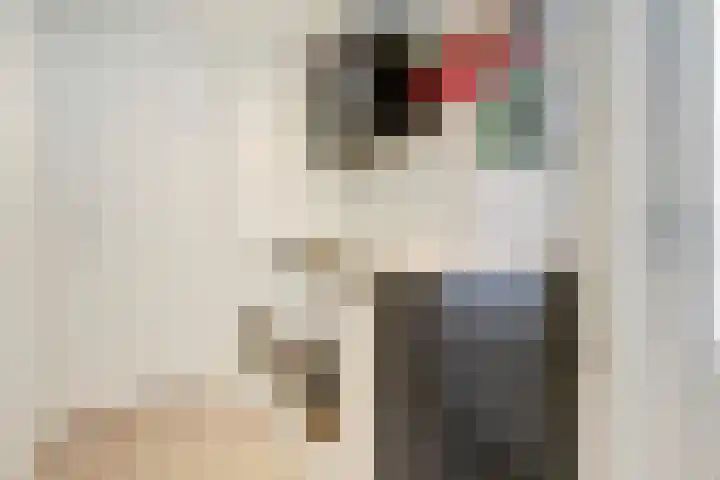 Moutlaan 45 Bemmel thumbnail 11