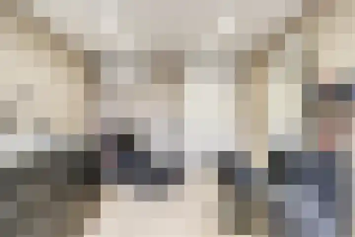 Moutlaan 45 Bemmel thumbnail 13