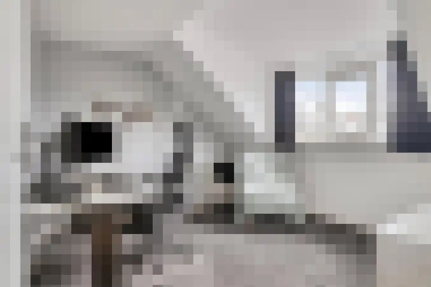 Moutmolen 1 Delft thumbnail 23