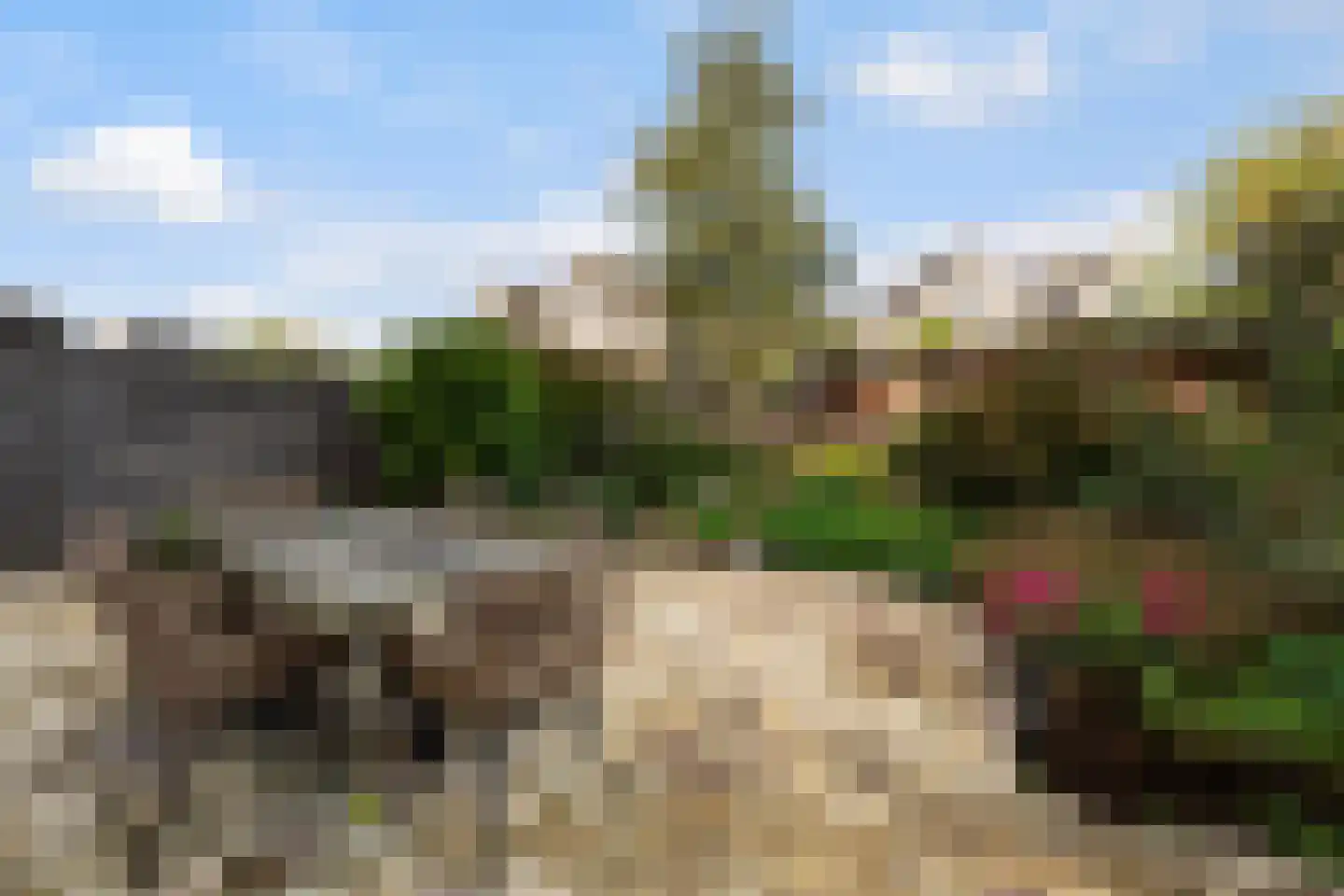 Moutmolen 13 Alphen aan den Rijn thumbnail 30
