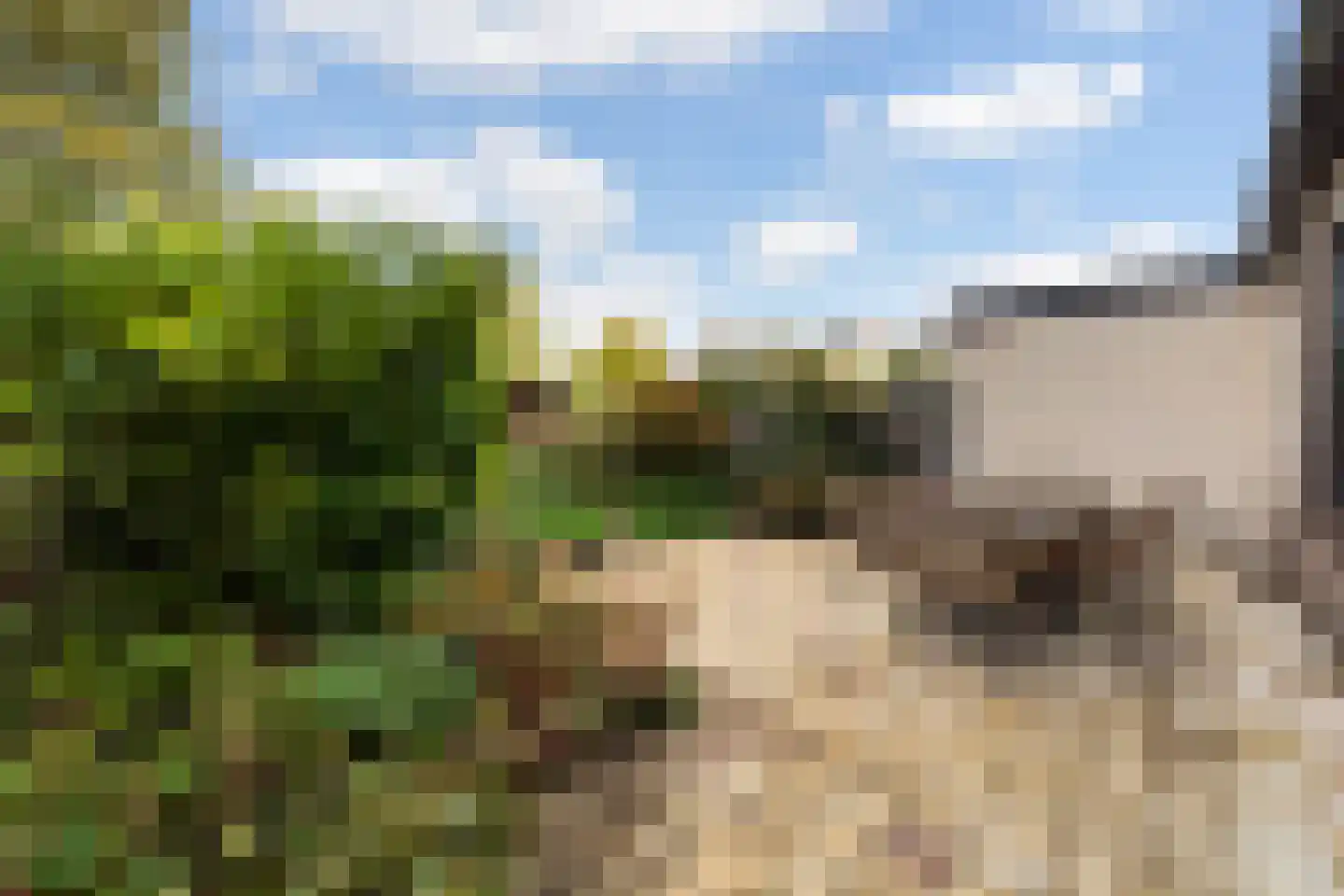 Moutmolen 13 Alphen aan den Rijn thumbnail 32