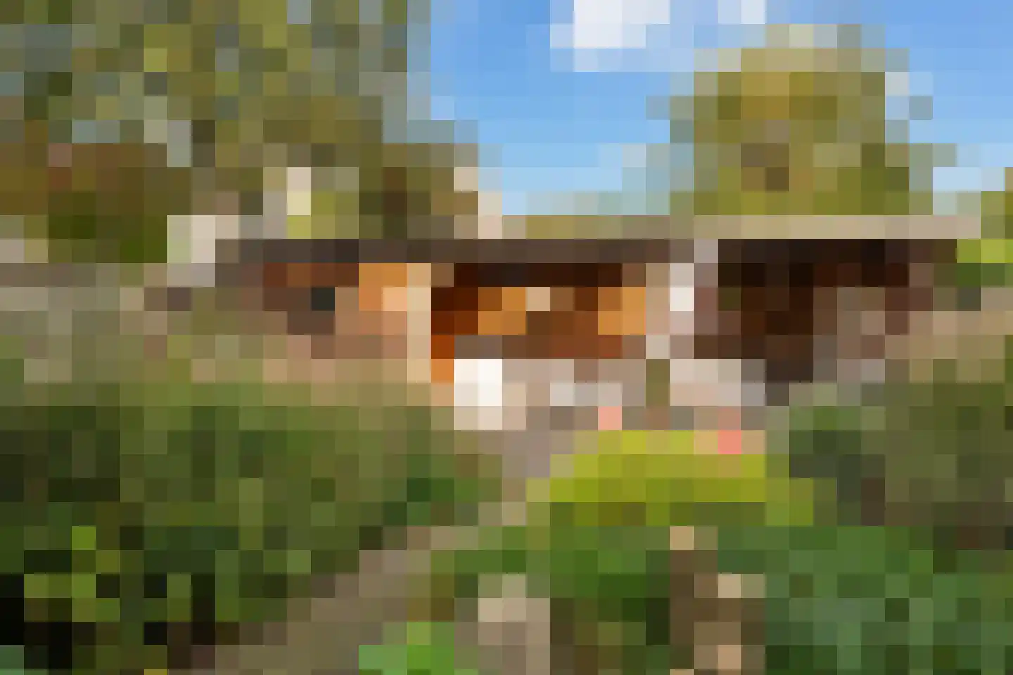 Moutmolen 13 Alphen aan den Rijn thumbnail 34