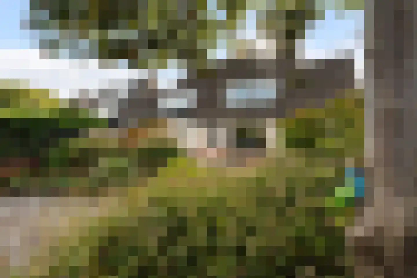 Moutmolen 13 Alphen aan den Rijn thumbnail 35
