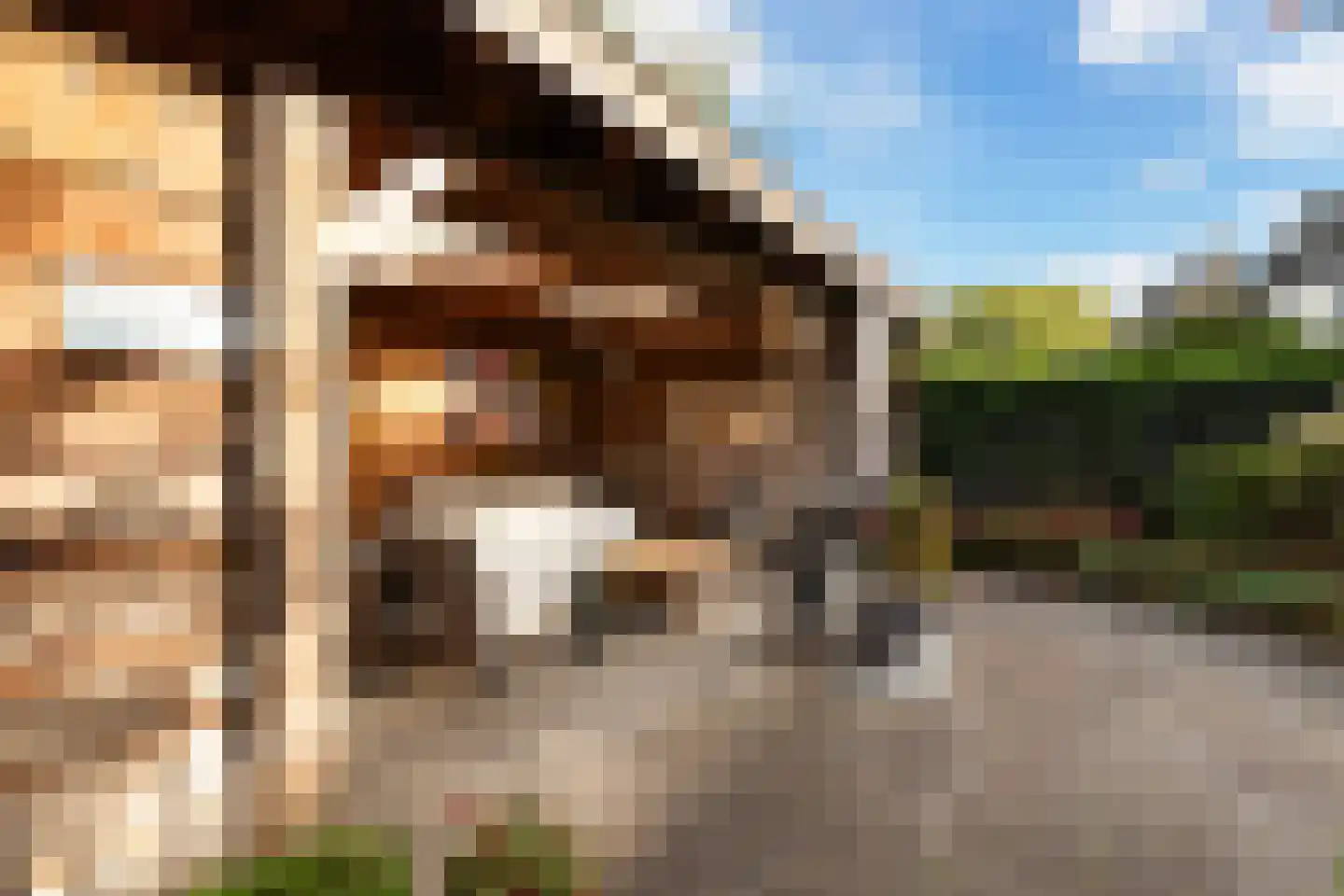 Moutmolen 13 Alphen aan den Rijn thumbnail 36