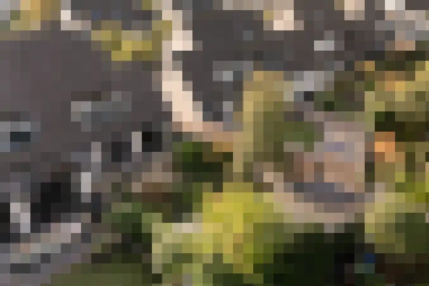 Moutmolen 13 Alphen aan den Rijn thumbnail 38
