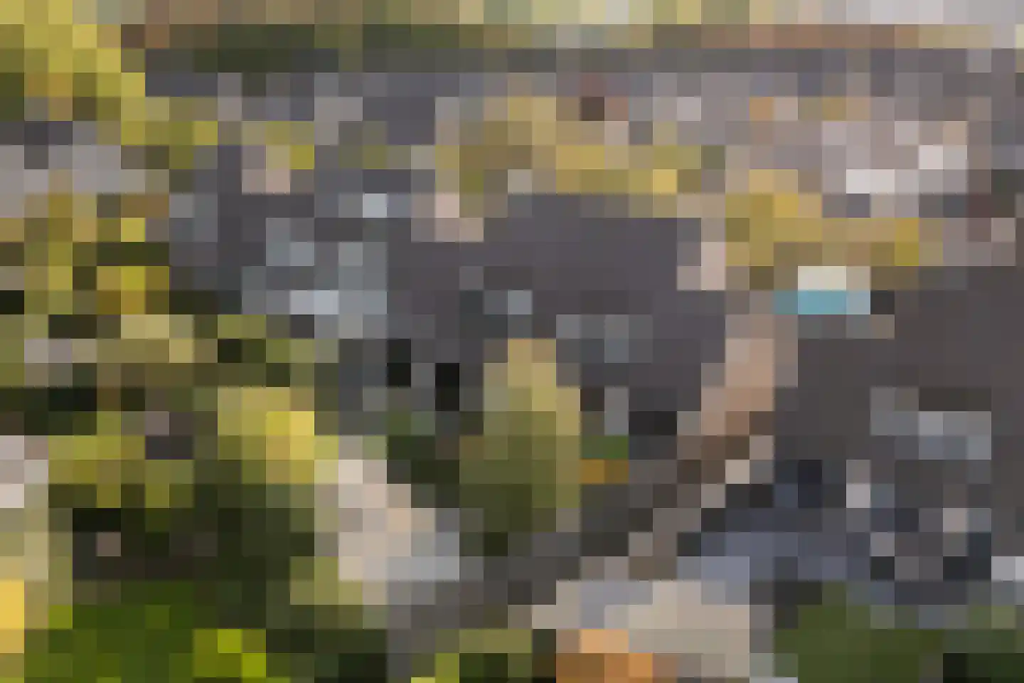 Moutmolen 13 Alphen aan den Rijn thumbnail 39