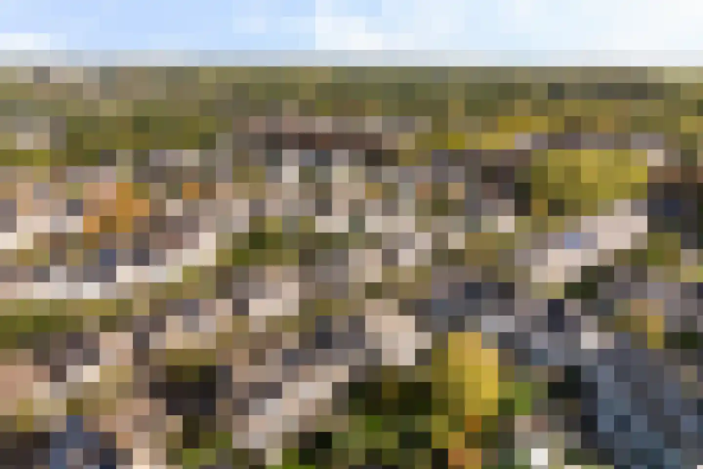 Moutmolen 13 Alphen aan den Rijn thumbnail 52
