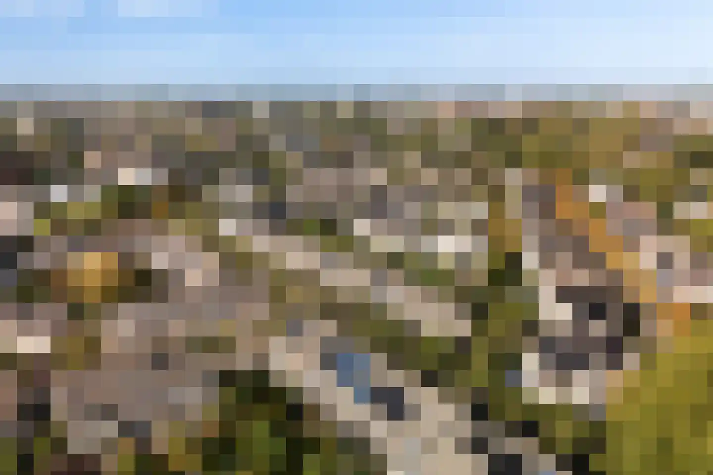 Moutmolen 13 Alphen aan den Rijn thumbnail 53