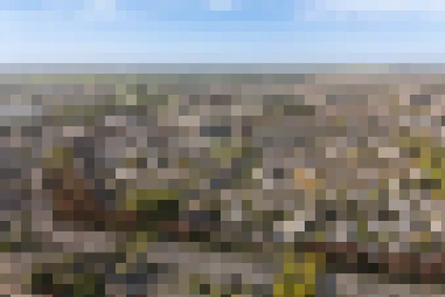 Moutmolen 13 Alphen aan den Rijn thumbnail 54