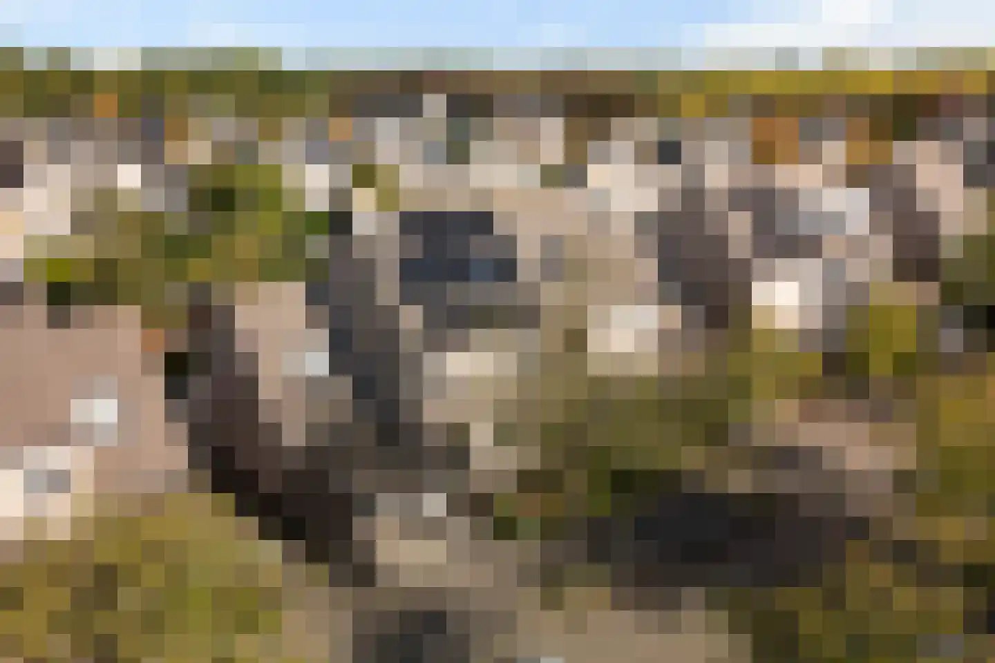 Moutmolen 13 Alphen aan den Rijn thumbnail 6