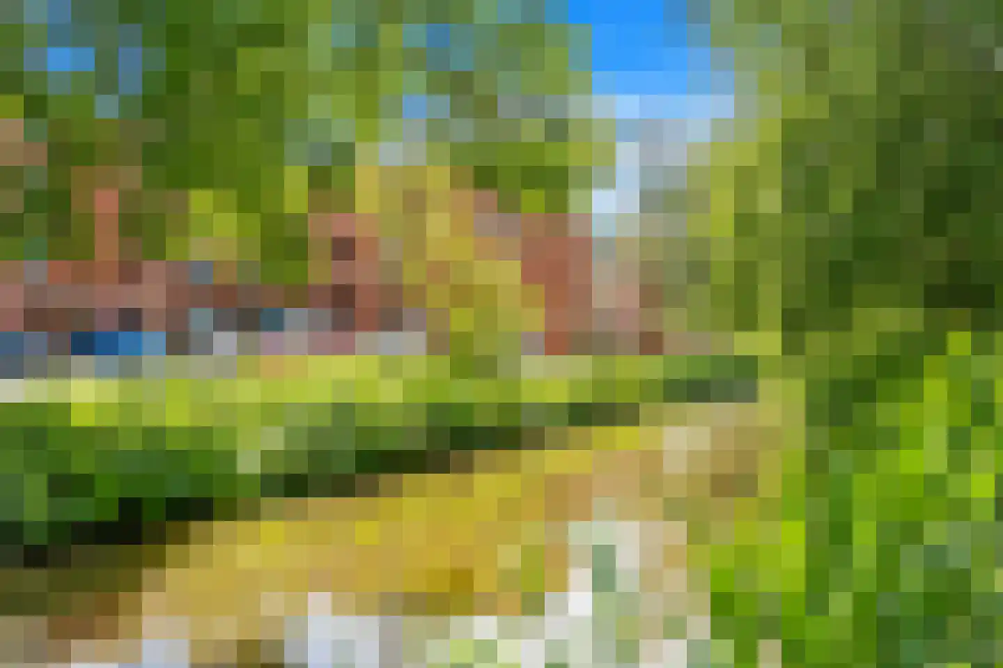 Moutmolen 16 Delft thumbnail 43