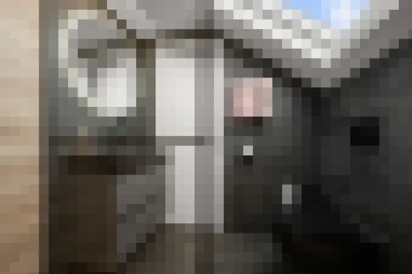 Moutmolen 2 Heerhugowaard thumbnail 22