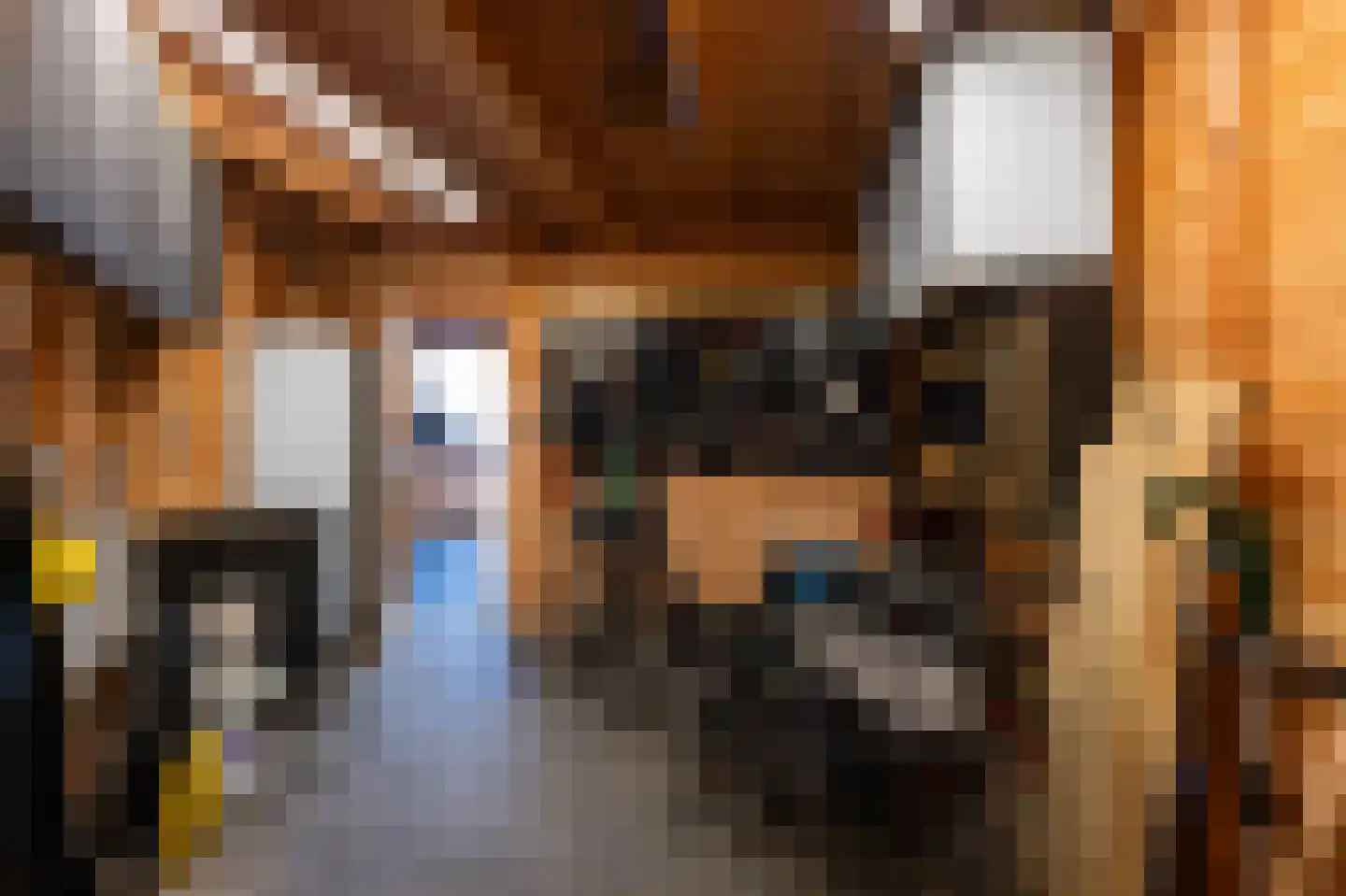 Moutmolen 2 Heerhugowaard thumbnail 26