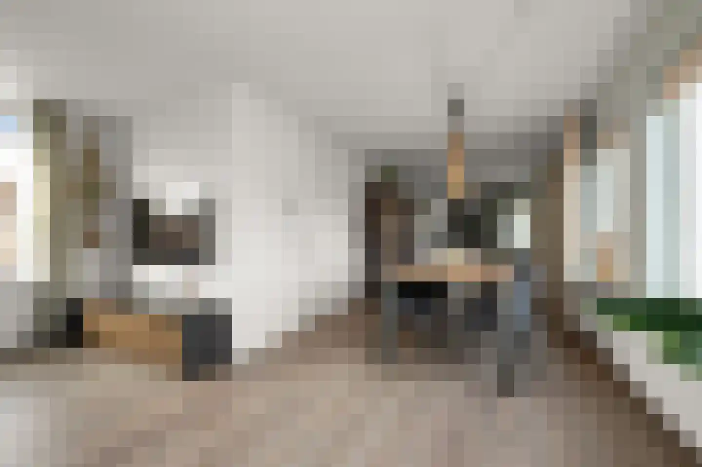 Moutmolen 2 Heerhugowaard thumbnail 5