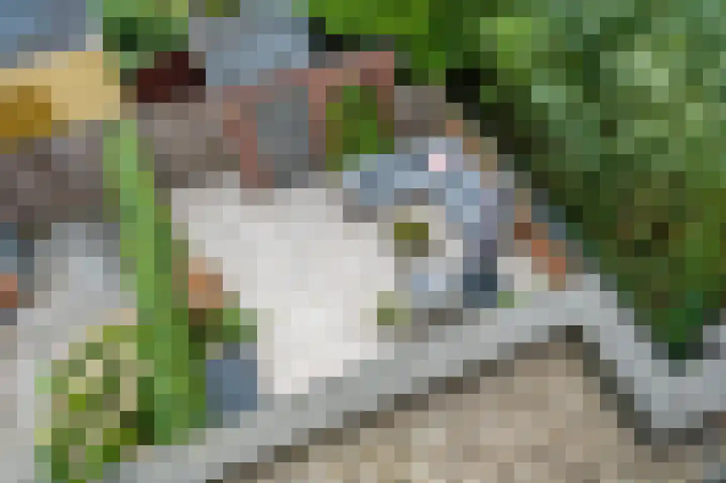 Moutmolen 21 Delft thumbnail 17