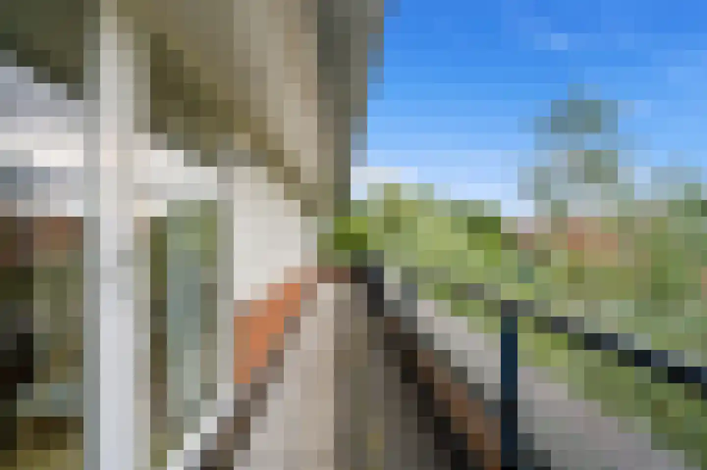 Moutmolen 21 Delft thumbnail 48