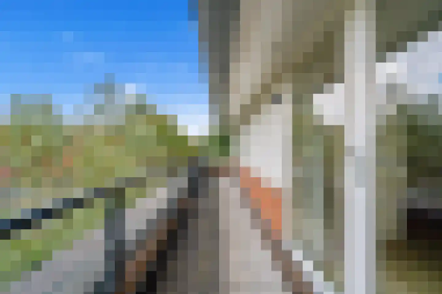 Moutmolen 21 Delft thumbnail 49