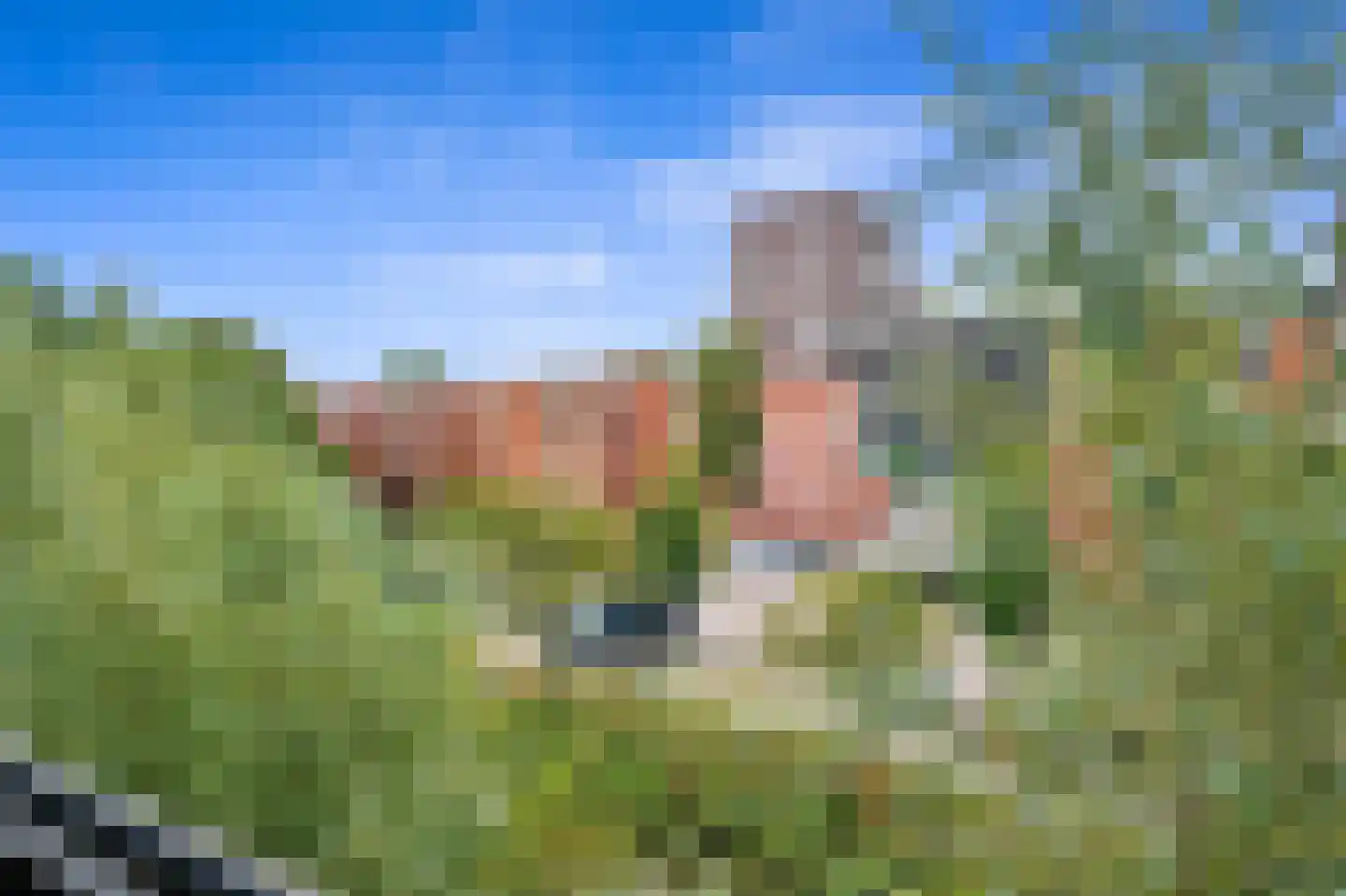 Moutmolen 21 Delft thumbnail 50