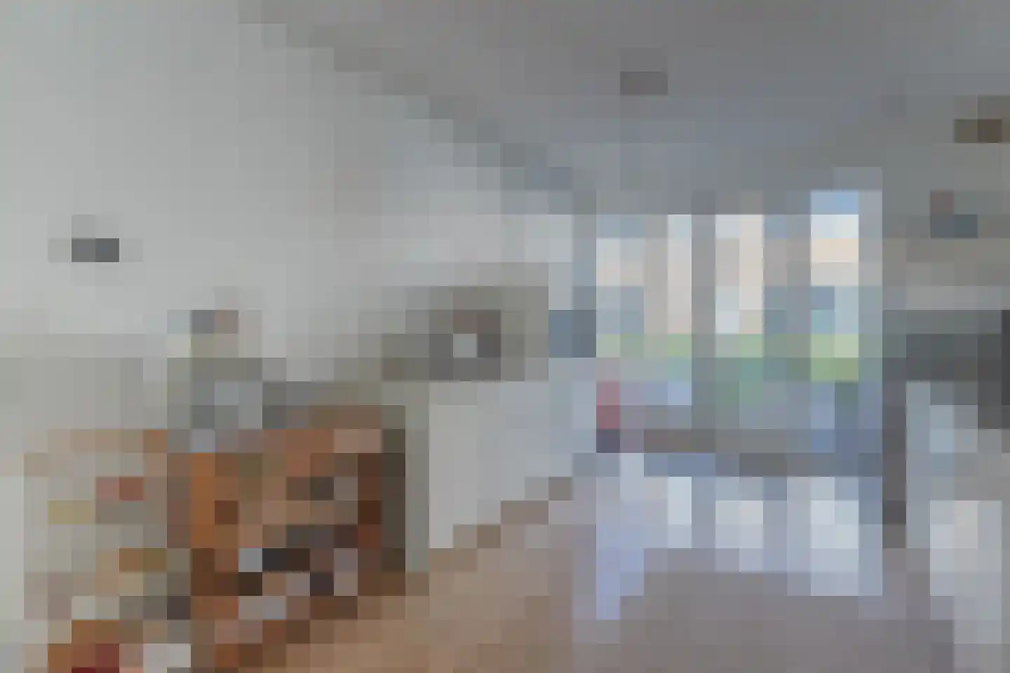 Moutmolen 3 Delft thumbnail 14