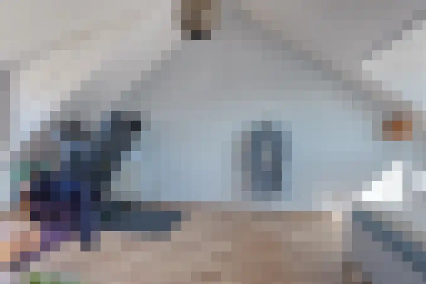 Moutmolen 3 Delft thumbnail 30
