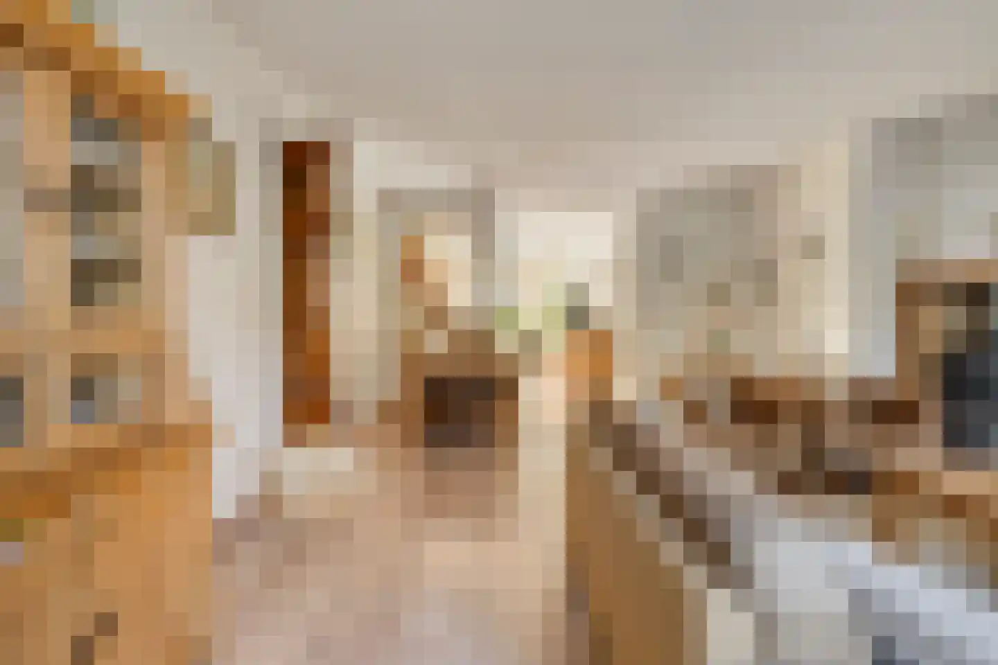 Moutmolen 4 Delft thumbnail 11