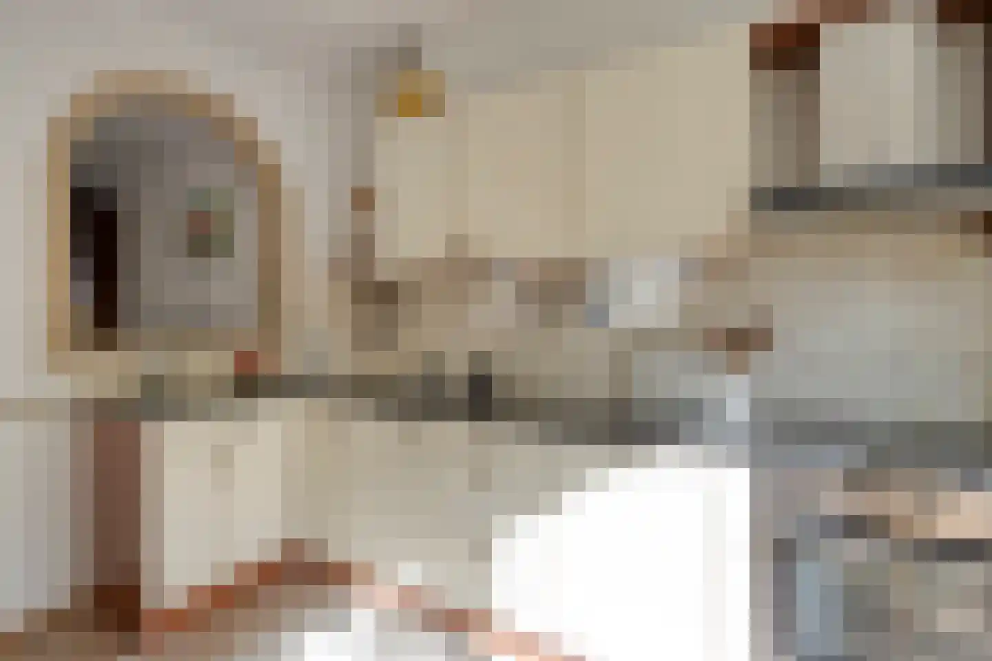 Moutmolen 4 Delft thumbnail 15