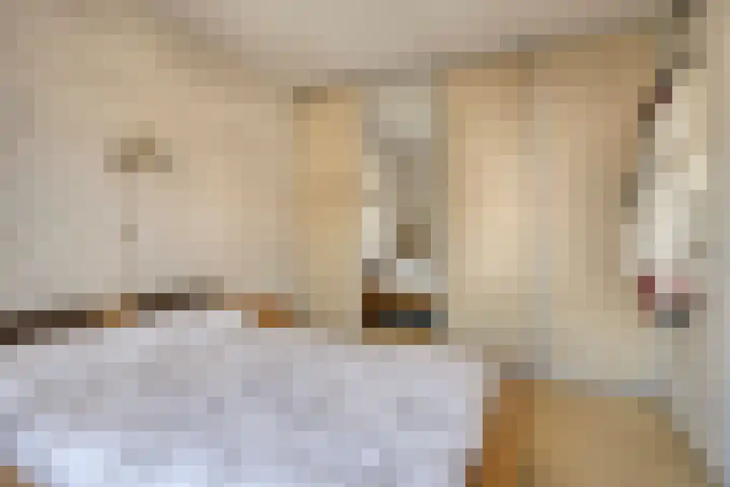 Moutmolen 4 Delft thumbnail 21
