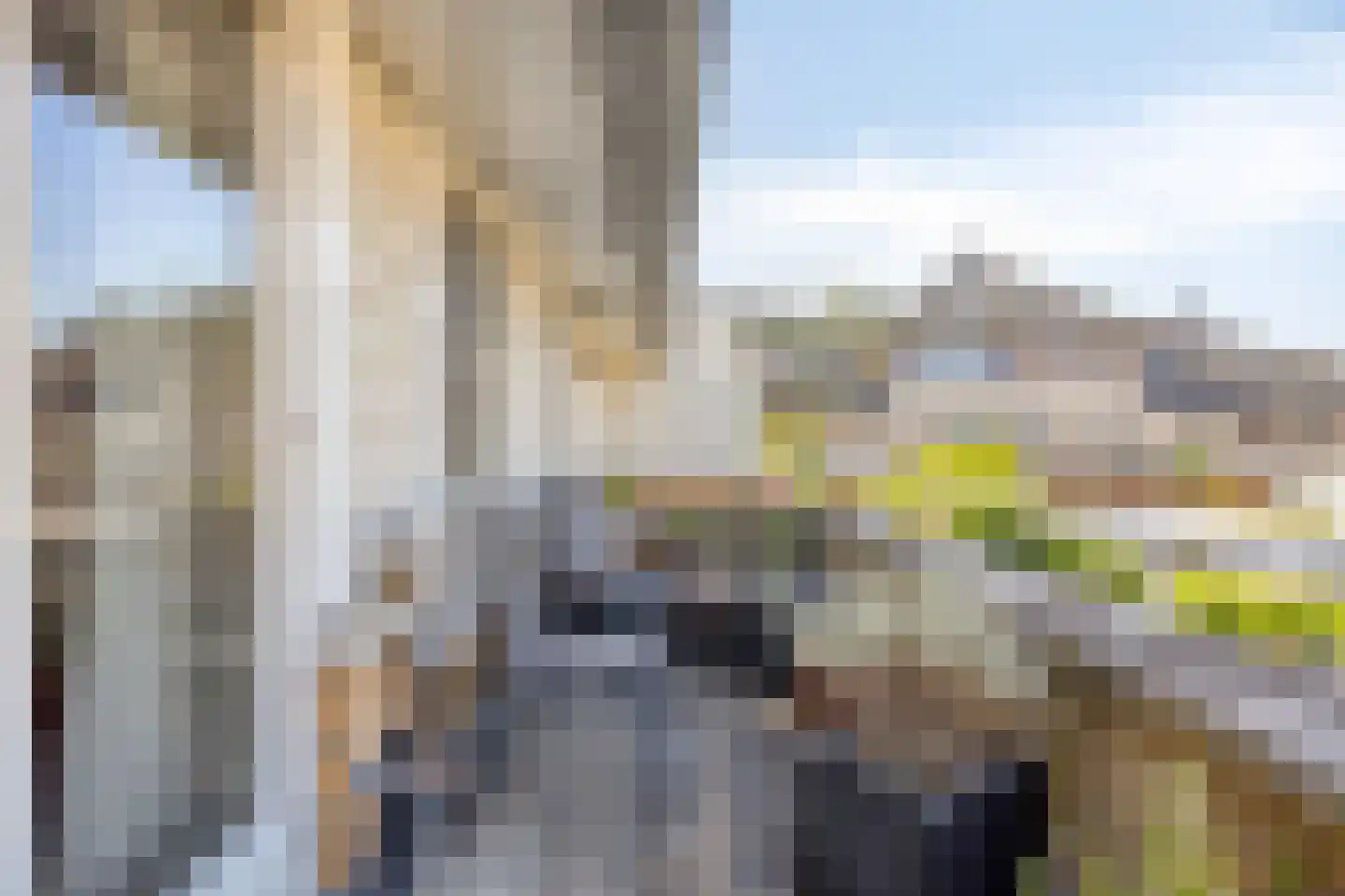 Moutmolen 4 Delft thumbnail 22