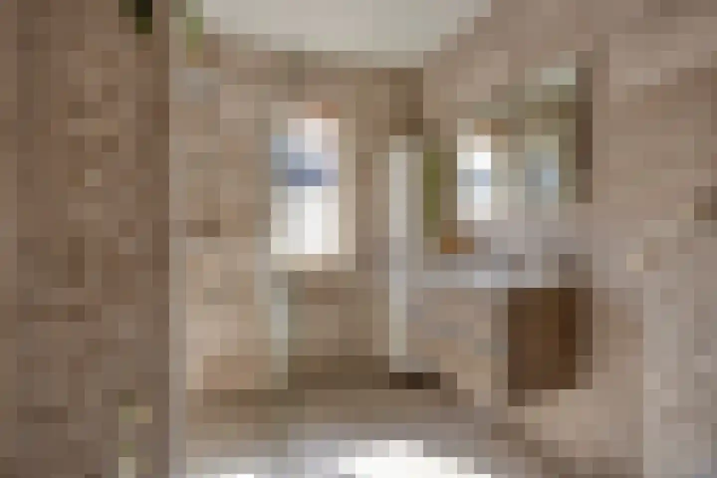 Moutmolen 4 Delft thumbnail 27