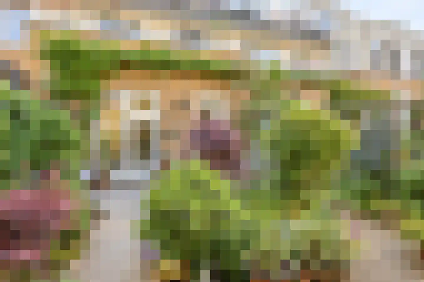 Moutmolen 4 Delft thumbnail 38