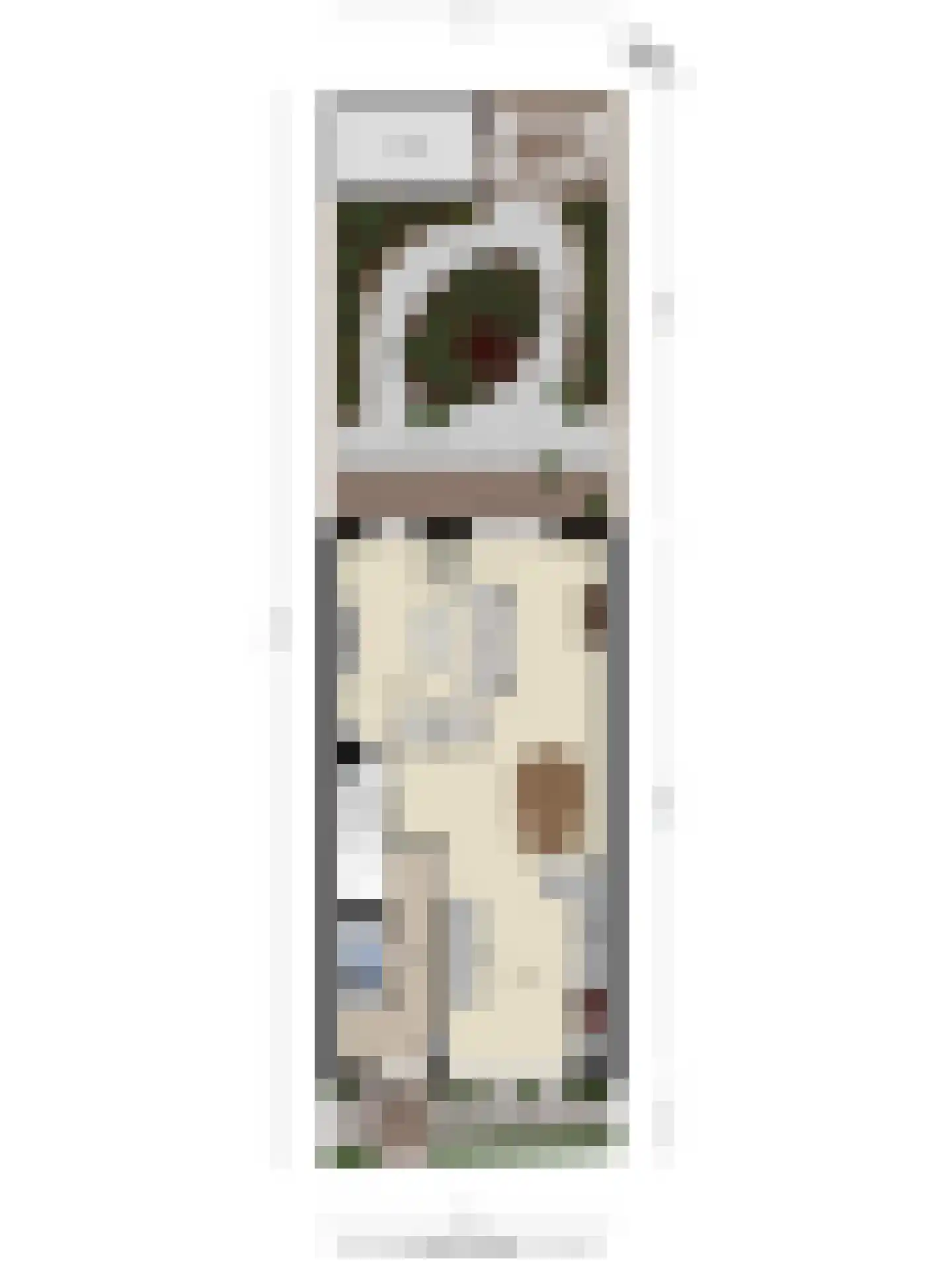 Moutmolen 4 Delft thumbnail 43