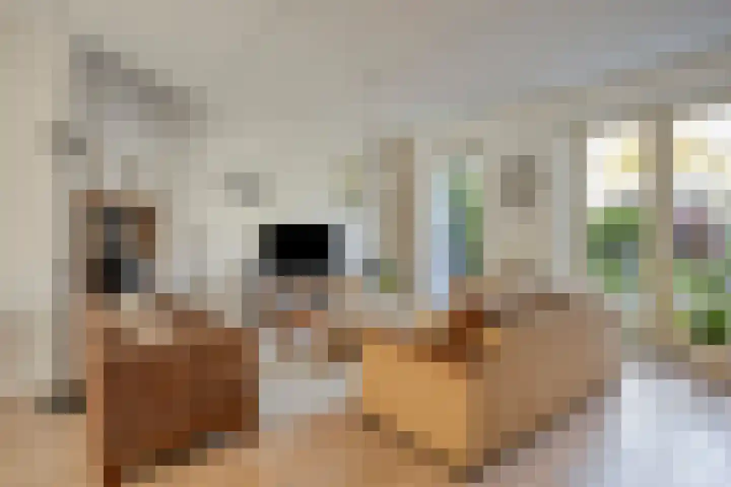 Moutmolen 4 Delft thumbnail 6