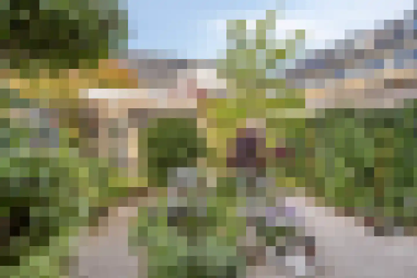 Moutmolen 4 Delft thumbnail 9
