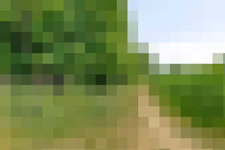 Moutmolenstraat 25 Almere thumbnail 35