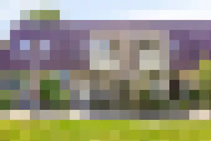 Moutmolenstraat 25 Almere thumbnail 5