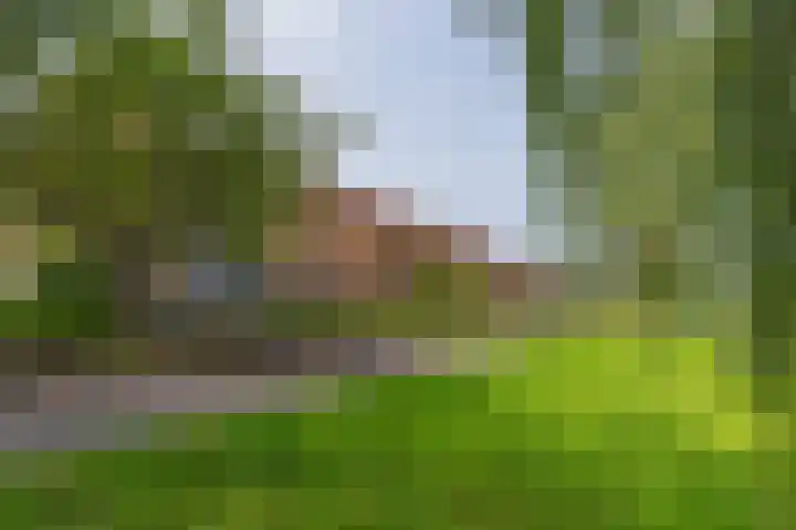 Moutmolenstraat 28 Almere thumbnail 30