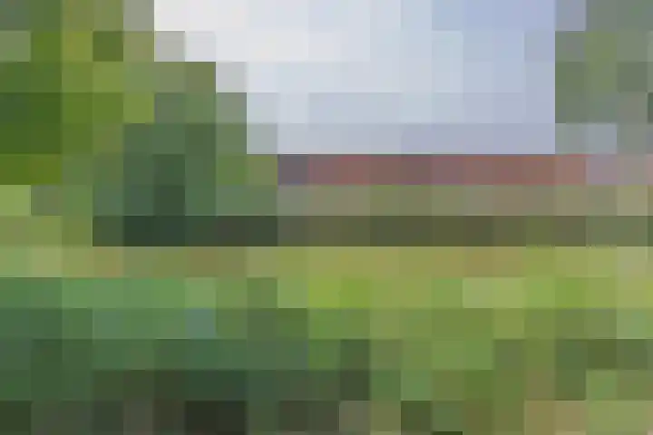 Moutmolenstraat 28 Almere thumbnail 31