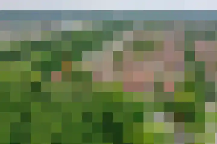 Moutmolenstraat 28 Almere thumbnail 33