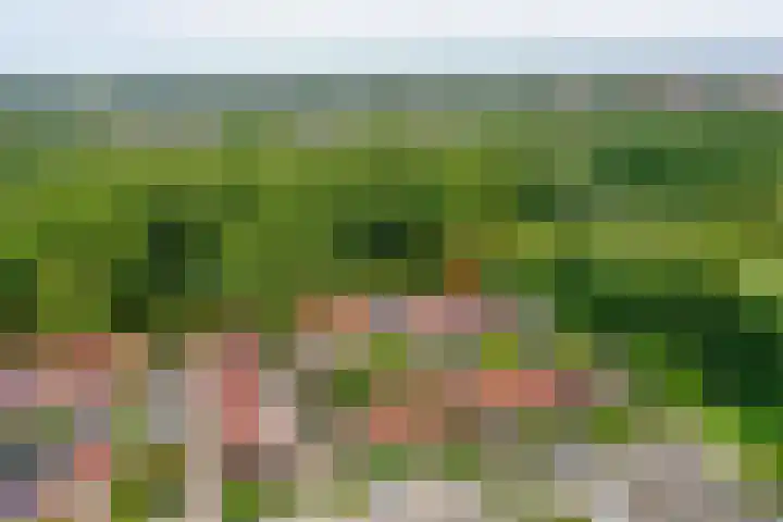Moutmolenstraat 28 Almere thumbnail 34