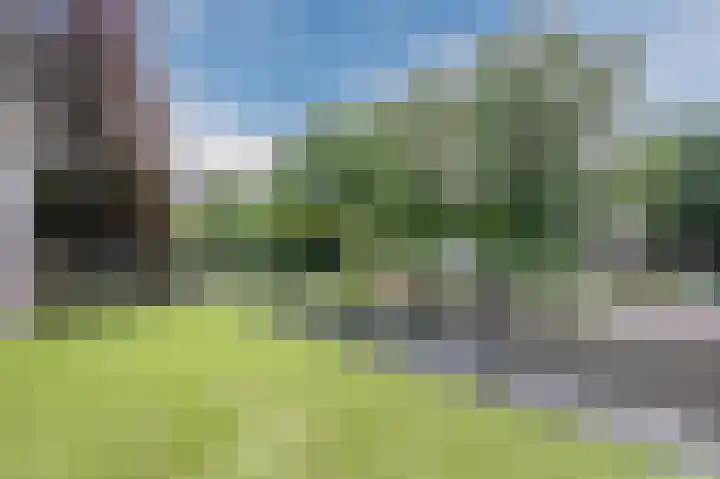 Mouton 4 Mijdrecht thumbnail 11