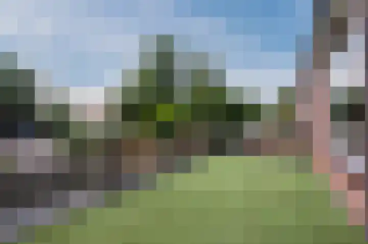 Mouton 4 Mijdrecht thumbnail 12